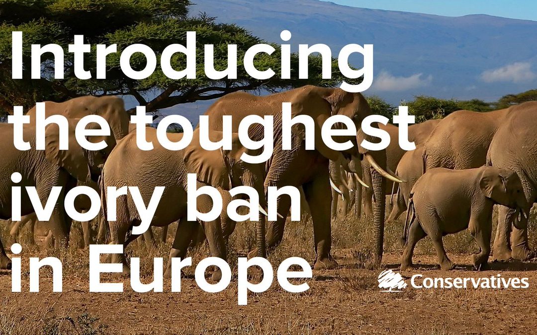 Ban on Ivory Sales